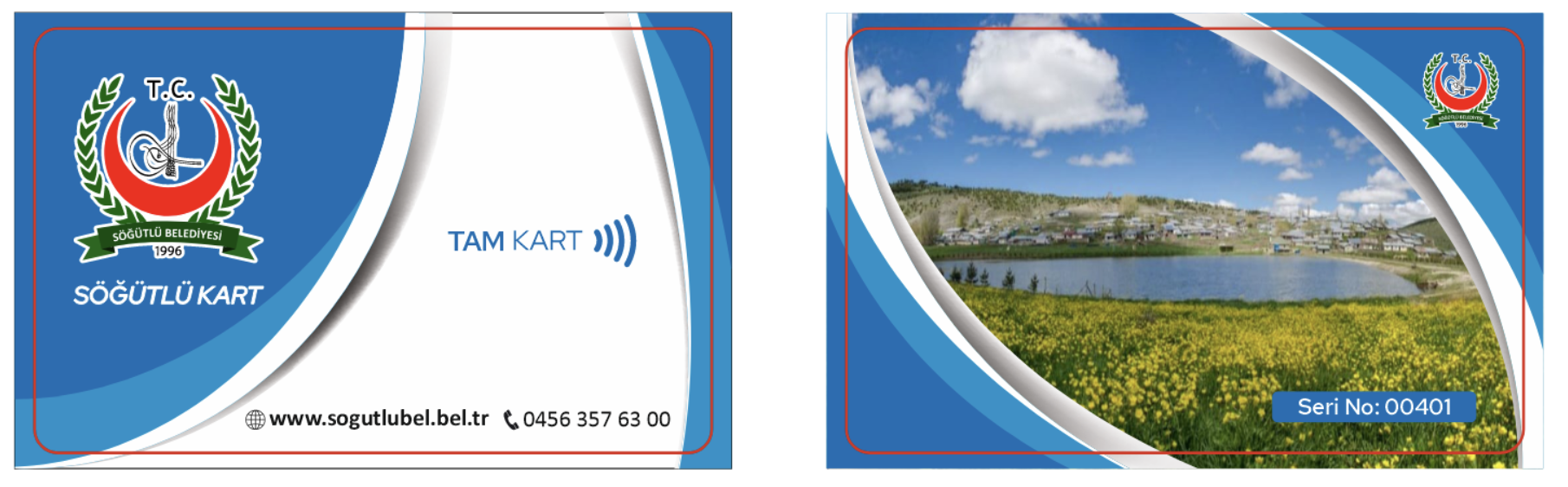 SnapKart kart örneği